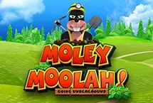 Moley Moolah Going Underground